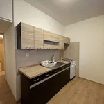 Pronajměte si 1 ložnic/e byt o rozloze 34 m² v Havířov