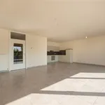 Rent 2 bedroom apartment in Halle