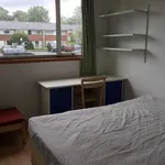 Rent 6 bedroom house in Canterbury