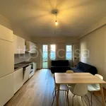 Rent 2 bedroom apartment of 57 m² in Milano