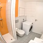 Rent 1 bedroom apartment in Brno