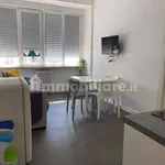 Rent 2 bedroom apartment of 50 m² in Pisa