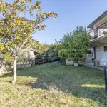 Rent 5 bedroom house of 200 m² in Torri in Sabina