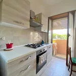 Rent 2 bedroom apartment of 65 m² in Roma