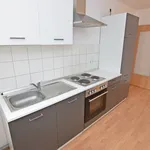 Rent 2 bedroom apartment of 51 m² in Chemnitz