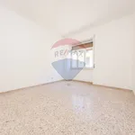 Rent 3 bedroom apartment of 100 m² in Civitavecchia