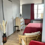 Rent 1 bedroom apartment of 28 m² in FONTAINEBLEAU