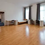 Rent 4 bedroom apartment of 95 m² in Brno