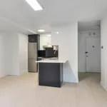  appartement avec 1 chambre(s) en location à Montreal