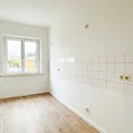 Miete 1 Schlafzimmer wohnung von 53 m² in Chemnitz