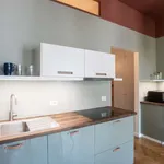 Rent 1 bedroom apartment of 60 m² in milan