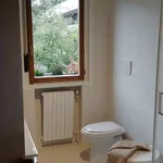 Rent a room in padua