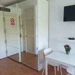 Rent 1 bedroom apartment of 30 m² in Málaga