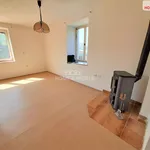 Pronajměte si 1 ložnic/e byt o rozloze 41 m² v Mantov