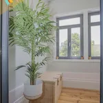 Alugar 4 quarto apartamento de 51 m² em Porto