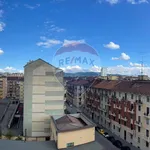 Rent 2 bedroom apartment of 40 m² in Torino