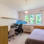 Rent 3 bedroom apartment in Olomouc