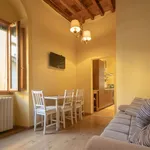 Rent 2 bedroom apartment of 60 m² in Florence