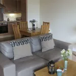 Rent 1 bedroom apartment in Cambridge