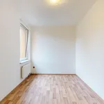 Pronájem byty 2+kk, 40 m2 - Chýnov