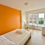 Rent 4 bedroom apartment of 86 m² in caen