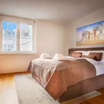 Rent 1 bedroom apartment in Wien