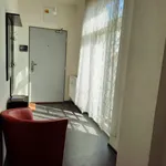 Rent 1 bedroom apartment of 42 m² in Brno