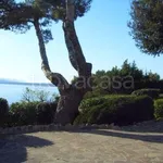 Rent 8 bedroom house of 300 m² in Orbetello