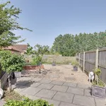 Rent 3 bedroom house in South West England