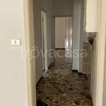 Rent 3 bedroom apartment of 77 m² in Bologna