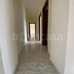 Rent 3 bedroom apartment of 75 m² in Catanzaro