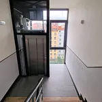 Pronajměte si 3 ložnic/e byt o rozloze 100 m² v Prague