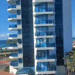 Studio in  Surfers Paradise QLD 4217                        