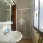 Rent 2 bedroom apartment of 55 m² in Iseo