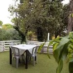 Rent 1 bedroom apartment of 50 m² in Riccione