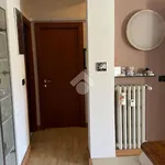 Rent 4 bedroom apartment of 100 m² in Bologna