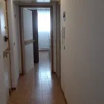 Rent 2 bedroom apartment of 40 m² in Follonica