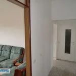 Rent 3 bedroom apartment of 95 m² in Milan