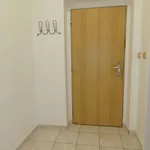 Rent 1 bedroom apartment of 35 m² in České Budějovice