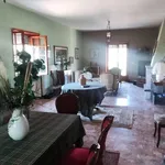 Rent 5 bedroom apartment of 140 m² in Roma