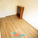 Rent 3 bedroom apartment of 73 m² in Praha