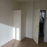 Huur 2 slaapkamer appartement van 67 m² in Kon.