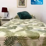 Alquilo 4 dormitorio apartamento de 170 m² en Alicante