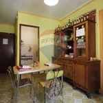 Rent 2 bedroom apartment of 45 m² in Torino