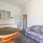 Rent a room in bologna