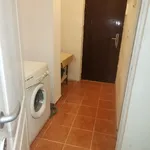 Rent 1 bedroom apartment in Lovnic