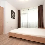 Rent 2 bedroom apartment of 53 m² in Timisoara