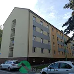 Pronajměte si 1 ložnic/e byt o rozloze 29 m² v Chvaletice