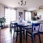 Rent 4 bedroom apartment of 78 m² in Antibes