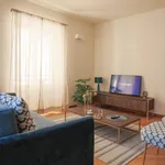 Rent 3 bedroom apartment of 100 m² in Genova